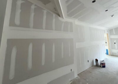 placo lyon peinture lyon LTR